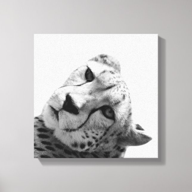 Toile Leopard cheetah animal sauvage photo noir et blanc (Recto)