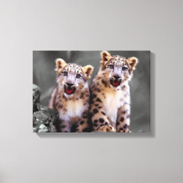 Toile Léopard de neige CUB (Recto)