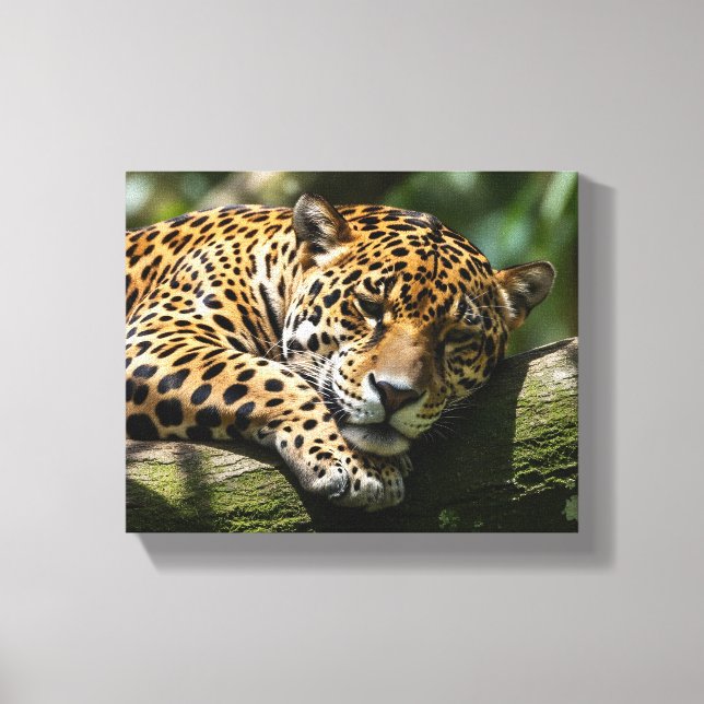 Toile leopard sleeping canvas wall art (Recto)