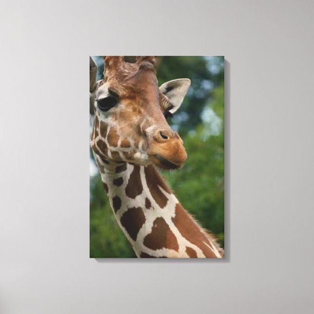 Toile Les amateurs de girafe (Recto)