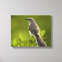 Toile Les amateurs d'oiseaux de Mockingbird