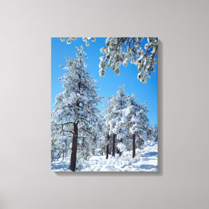 Toile Les arbres couverts de neige dans les Laguna Mount