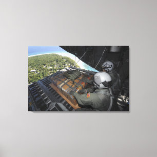 Toile Les aviateurs poussent une palette de biens donnés