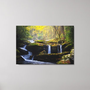 Toile Les cascades   Parc national de Great Smoky Mounta
