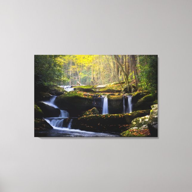 Toile Les cascades | Parc national de Great Smoky Mounta (Recto)