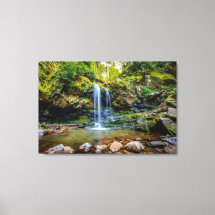 Toile Les cascades Parc national de Smokey Mountain