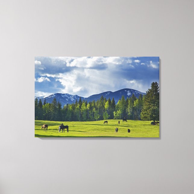 Toile Les chevaux broutent dans les pâturages près du co (Recto)