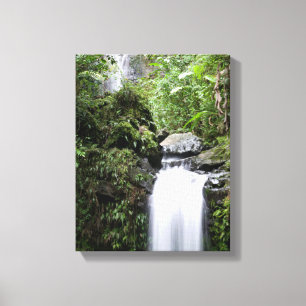 Toile Les chutes Juan Diego