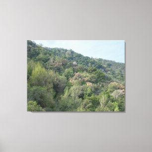 Toile Les collines de Los Altos