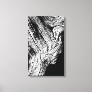 Toile les étoiles le disent ainsi
