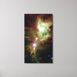 Toile Les étoiles nouveau-nées dans le pôle Arbre de
