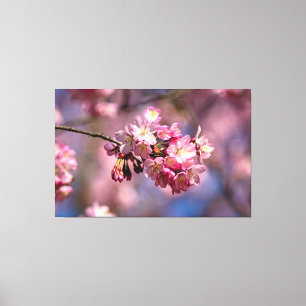 Toile Les Fleurs De Cerisier Sakura Dans Les Couleurs Ro