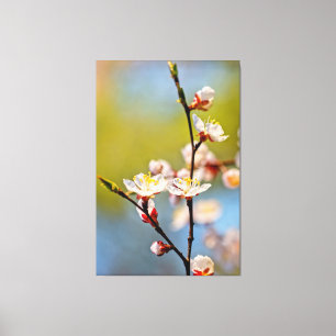 Toile Les fleurs japonaises d'abricot
