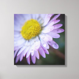 Toile Les gouttes de pluie sur une marguerite