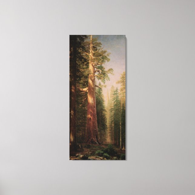 Toile Les grands arbres, Mariposa Grove, CA par Bierstad (Recto)