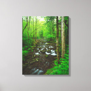 Toile Les Grands Smoky Mountains
