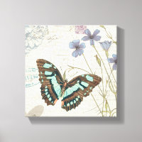 Les histoires de Papillon