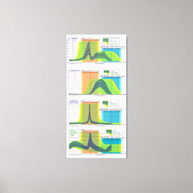 Toile Les hormones féminines règlent le cycle menstruel (Recto)