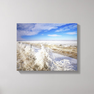 Toile Les manteaux de Hoarfrost ont été soufflés et près