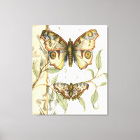Les papillons Tandem sur les Feuilles verts