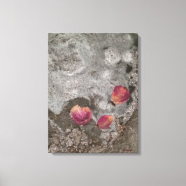 Toile Les pétales à terre