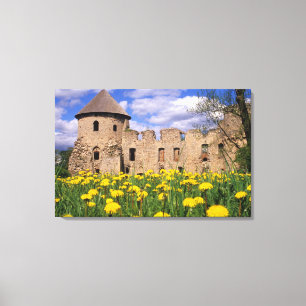 Toile Les pissenlits entourent le château de Cesis dans 