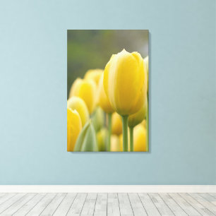 Toile Levez la tulipe