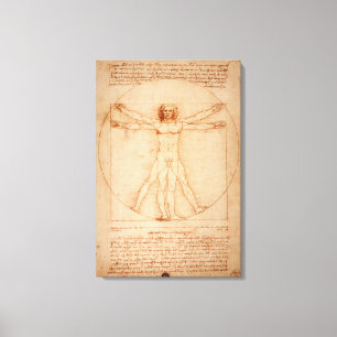 Toile l'Homme de Vitruve de Léonard de Vinci