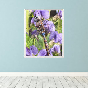 Toile Libellule Darner aux Yeux Bleus Photographique