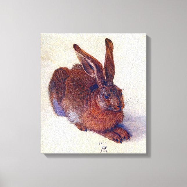 Toile Lièvre jeune par Albrecht Durer, Art Renaissance (Recto)
