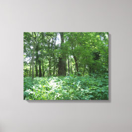 Toile Ligne d'arborescence