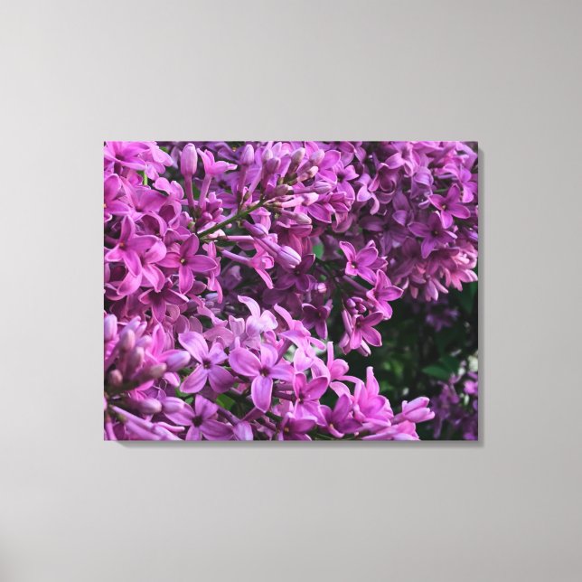 Toile lilas rose violet | photo florale rose romantique (Recto)