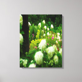 Toile Limelight Hydrangeas dans My Rubio Garden