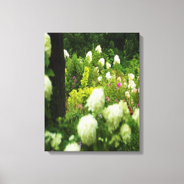 Toile Limelight Hydrangeas dans My Rubio Garden (Recto)