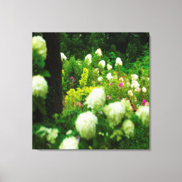 Toile Limelight Hydrangeas dans My Rubio Garden