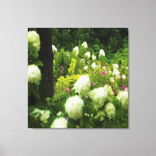 Toile Limelight Hydrangeas dans My Rubio Garden (Recto)