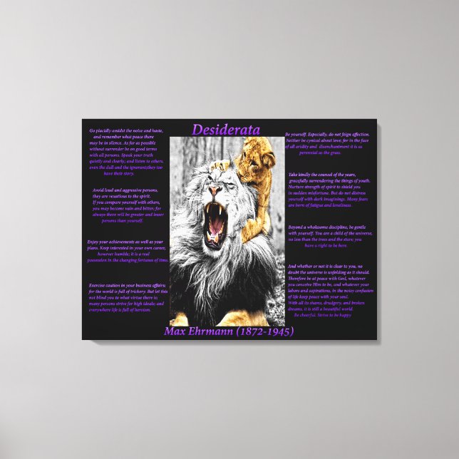 Toile Lion Cub (Recto)