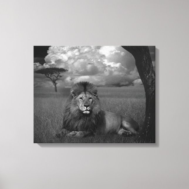 Toile Lion dans l'herbe (Recto)