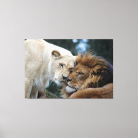 Toile Lion & Lioness Imprimer