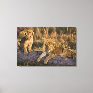 Toile Lionceaux sur rondin