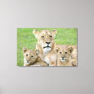 Toile Lionne et deux lionceaux, Afrique orientale, Tanza