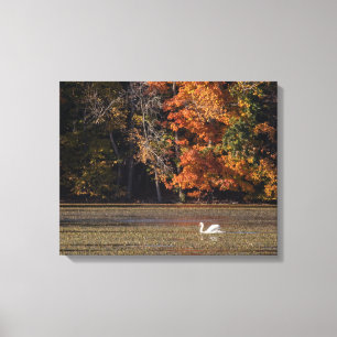 Toile Liquide du cygne et de l'automne