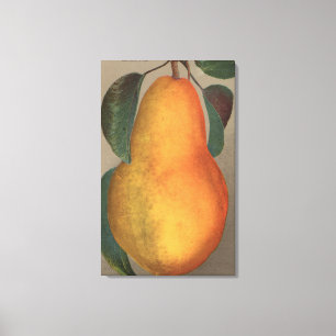 Toile Lithographie de Chromo de fruit de poire bartlett