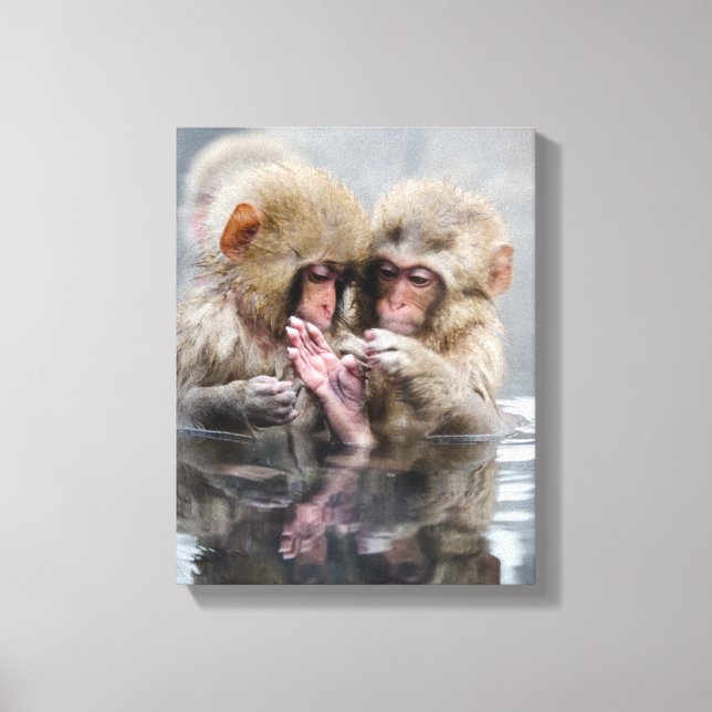 Toile Little Monkeys | Hot Springs, Japon (Recto)