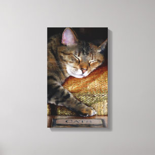 Toile Livre somnolent de Kitty