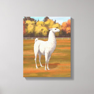 Toile Llama blanche dans les pâturages agricoles d'autom