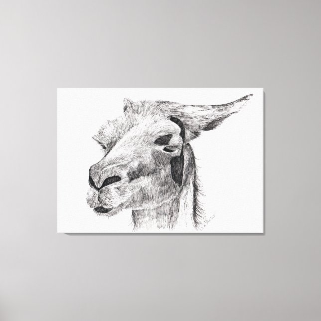 Toile Llama Love (Recto)