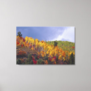 Toile Logan Canyon dans l'Utah en automne avec le passag