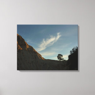 Toile Lone Torrey Pine Californie Sunset Paysage