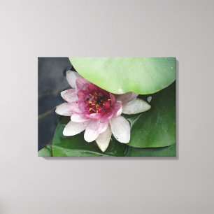 Toile Lotus Flower Photographie Impression